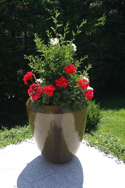 Pension Bergfried Grödig Екстериор снимка