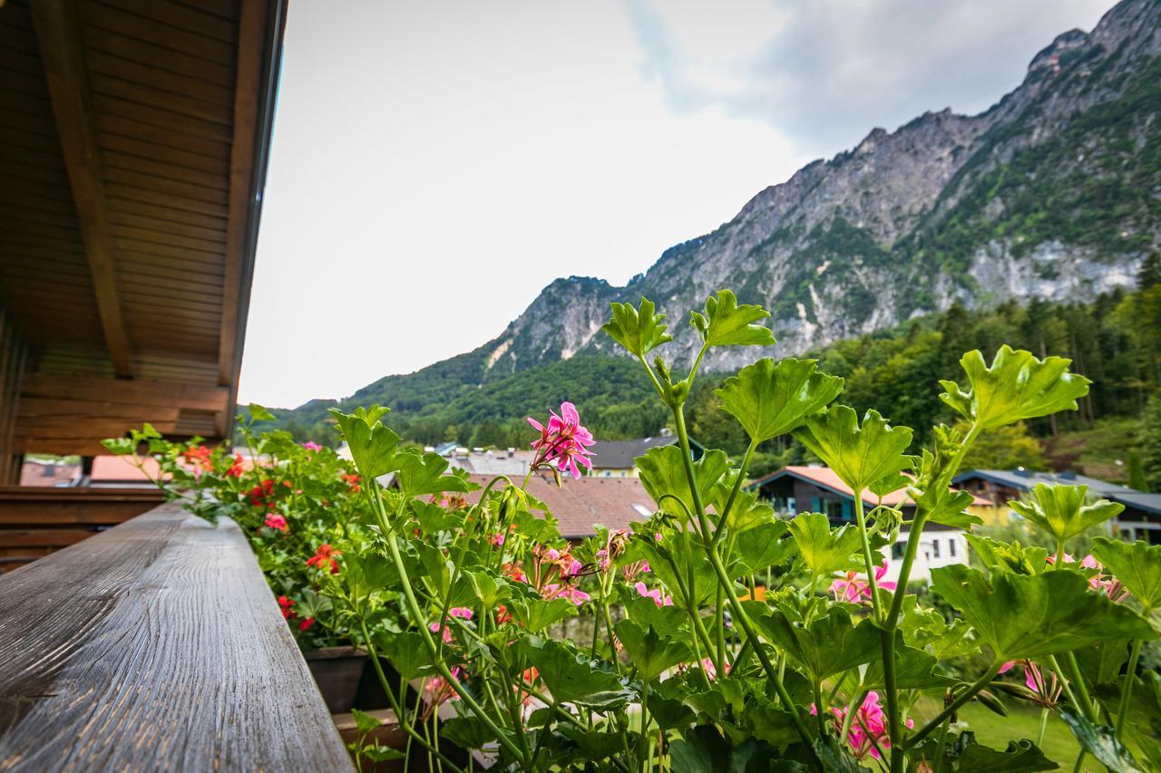 Pension Bergfried Grödig Екстериор снимка